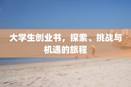 大学生创业书，探索、挑战与机遇的旅程