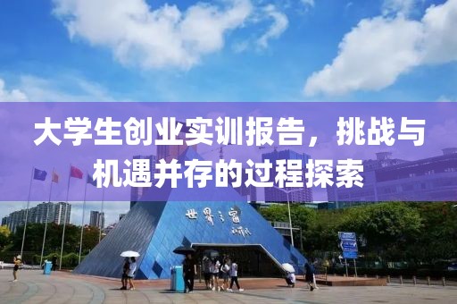 大学生创业实训报告，挑战与机遇并存的过程探索