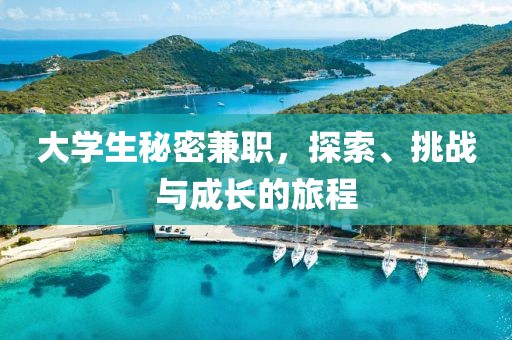 大学生秘密兼职，探索、挑战与成长的旅程