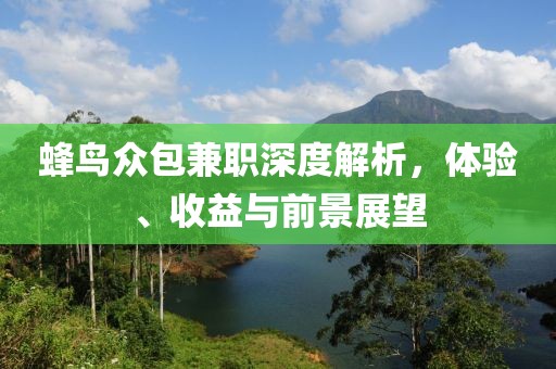 蜂鸟众包兼职深度解析，体验、收益与前景展望