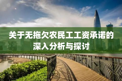 关于无拖欠农民工工资承诺的深入分析与探讨